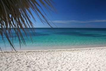 Fototapeta na wymiar caribic beach 3