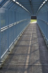 narrow path surrounded with iron fencing