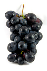 black grape