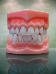 plastic dental teeth