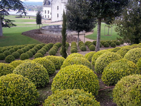 the gardens at amboise 2