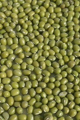 mung beans