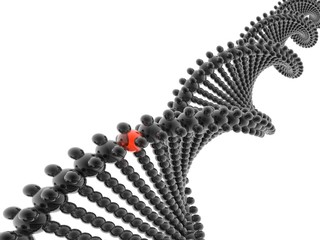 3d dna model
