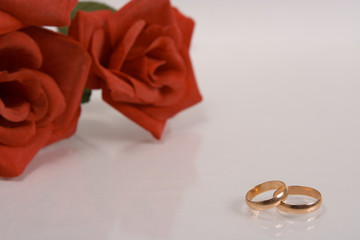 two wedding rings and red rose at the background
