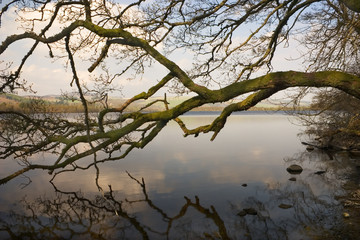 reflections and soft light on the loch