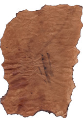 grunge paper 3