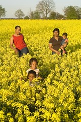 happy family in a field full of yellow flowers