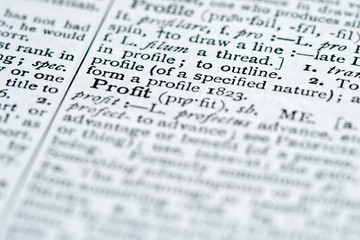 dictionary definition - profit