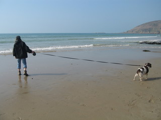 fille promenant son chien sur la plage