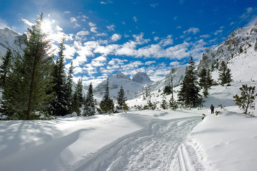 sunny winter in mountain