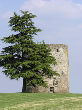 0949 - tour f&eacute;odale d'aron (mayenne)