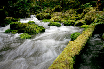 flowing creek