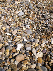 pebbles at hopton