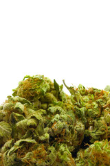 pot