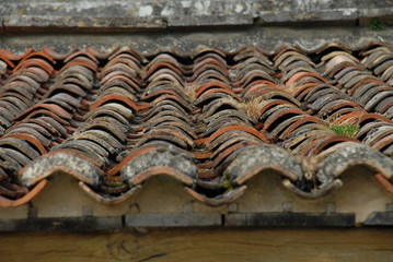 tuiles à brouages (17)