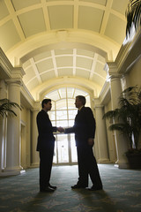 two businessmen shaking hands.
