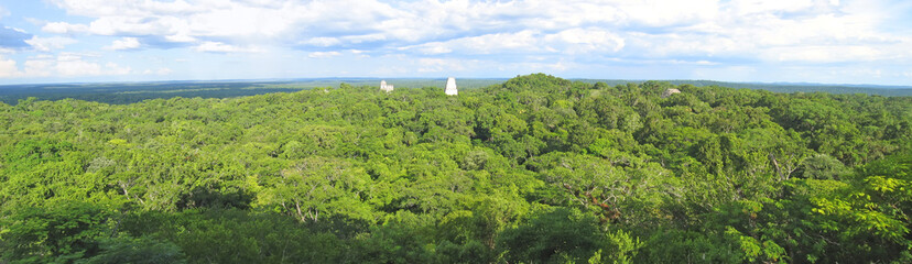 nice view over the old maya ruins and the peten jungle, tikal, g