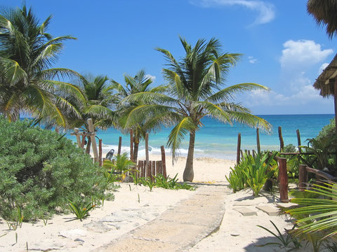 walk path to a tropical white beach and blue sea, tulum, mexico