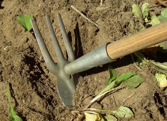 gartenarbeit 2