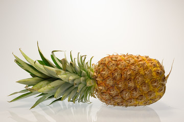 ananas ao_070311_6131.cr2.jpeg