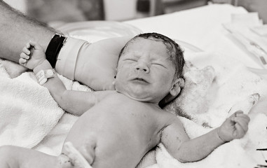 newborn baby