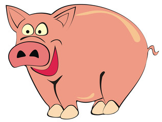 pig