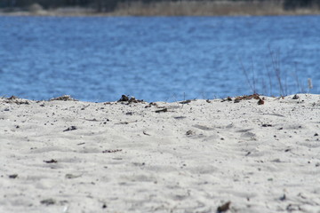 dryness and water beside each other