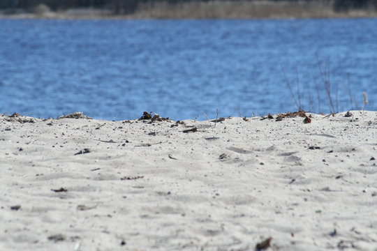 dryness and water beside each other