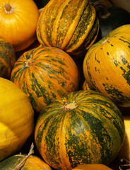 pumpkins - 2964000