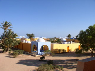 paysage de tunisie medina palmier