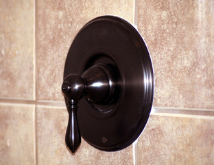 shower handle