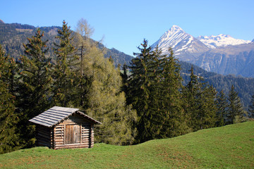 Fototapeta na wymiar Bergwiese in Tirol
