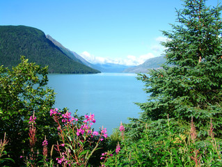 kenai peninsula in alaska