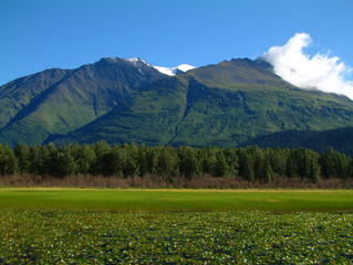 Fototapeta premium scenery in alaska