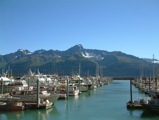 seward bay harbor in alaska