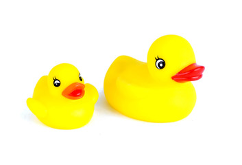 two yellow rubber ducks