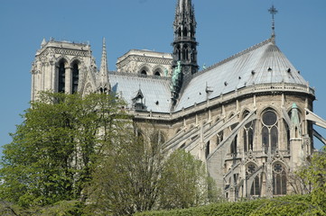 notre dame de paris