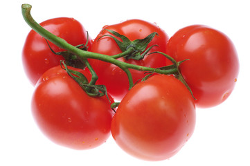 tomatoes
