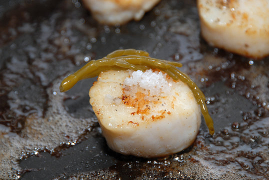 stjacques3