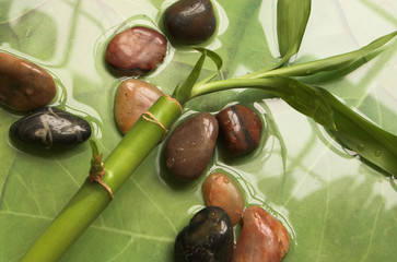Naklejka premium bamboo plant and pebbles on water