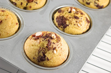 corn muffins hot off the oven!