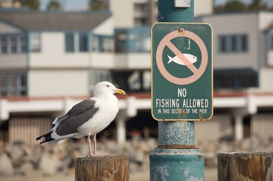 img_5694 guillaume tunzini