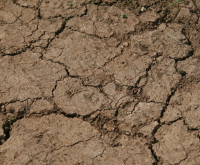 earth