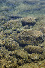 Rocks on ocean bottom seen through water in Maui, Hawaii.