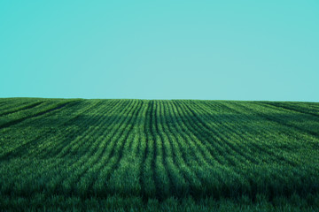 parallel lines in field
