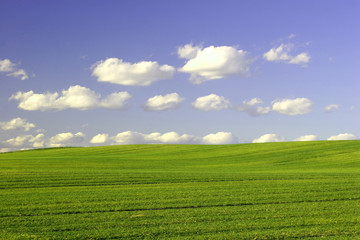 green field and blue cloudy sky