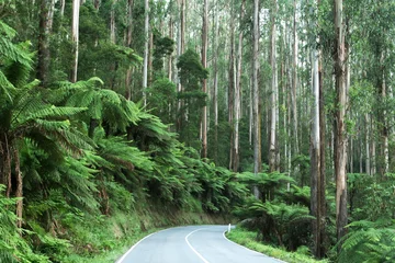 Photo sur Plexiglas Australie mystic mountains