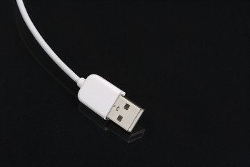 Firewire cord.