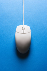 Computer mouse.