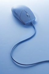 Computer mouse.